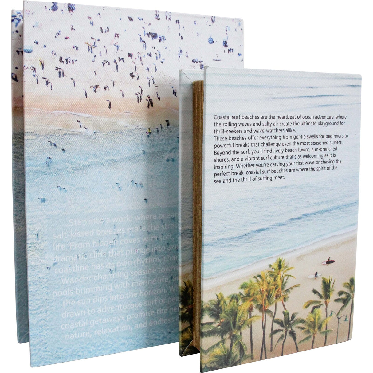 Set of 2 Medium Book Boxes - Coastal Surf