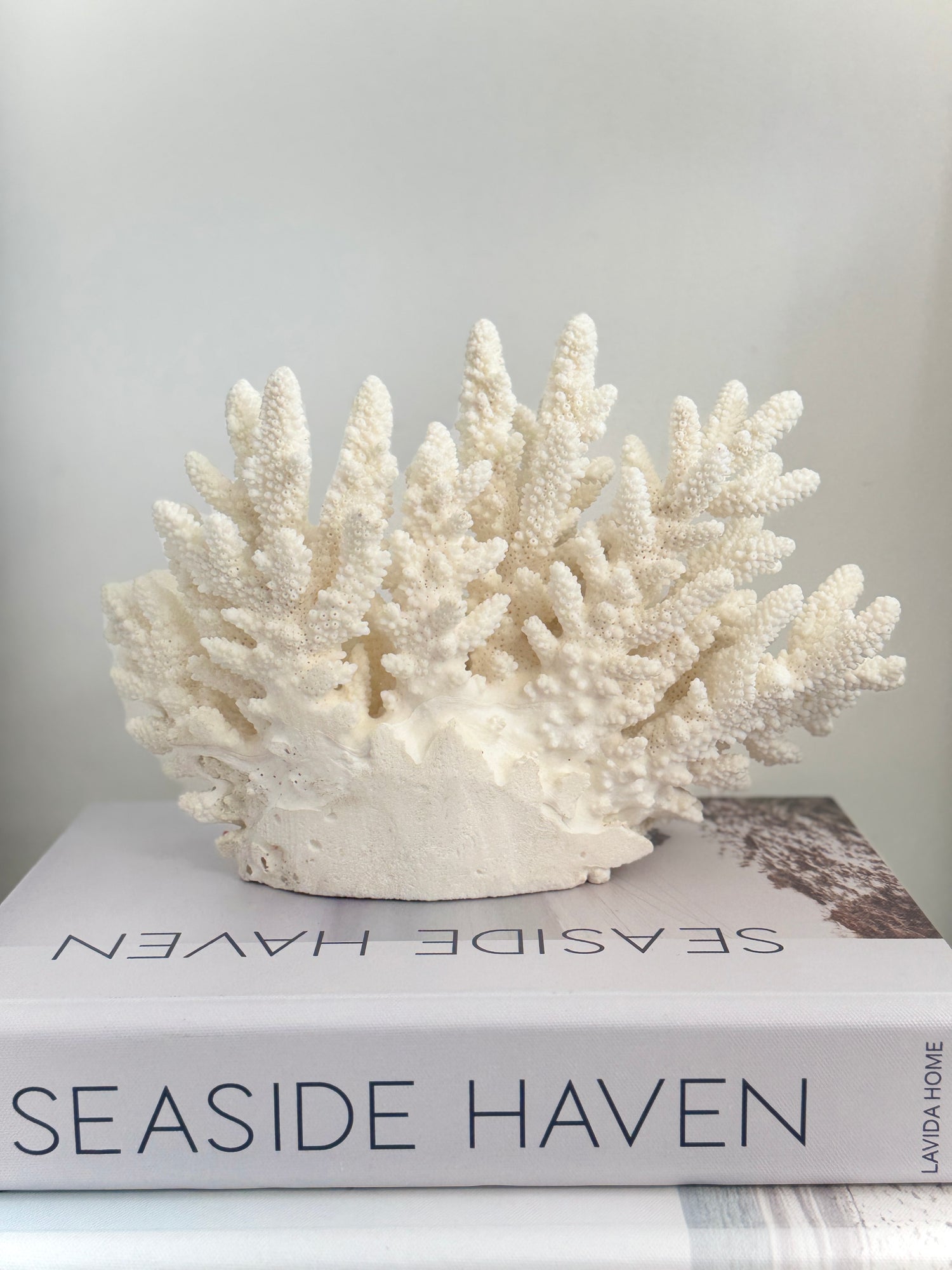 Upright Large Specialty Finger Coral