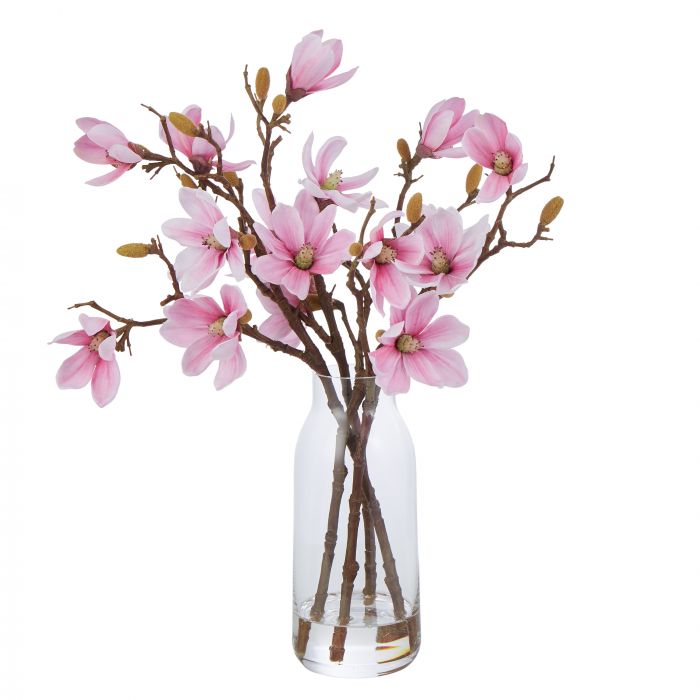 Pink Magnolia in Tall Glass Vase
