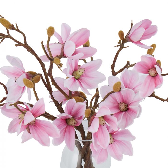 Pink Magnolia in Tall Glass Vase