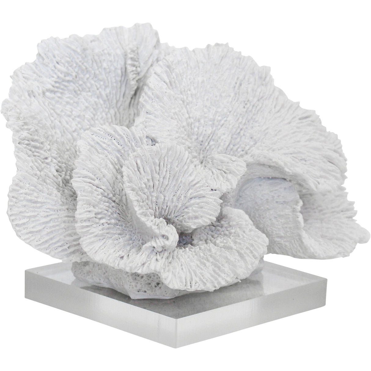 Faux White Fan Coral on Clear Base