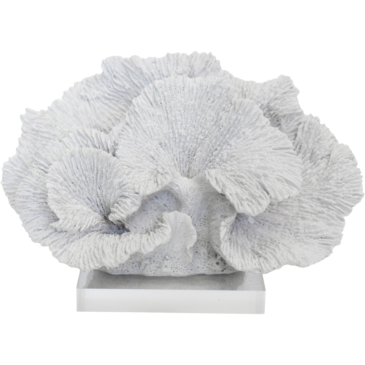 Faux White Fan Coral on Clear Base