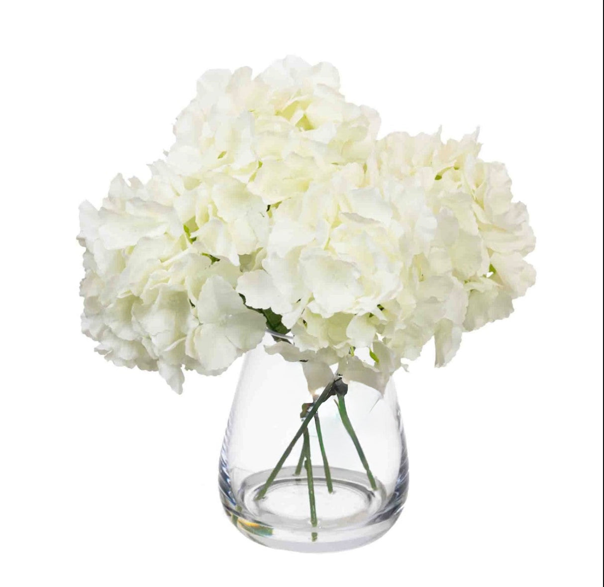White Hydrangeas In Tall Glass Vase
