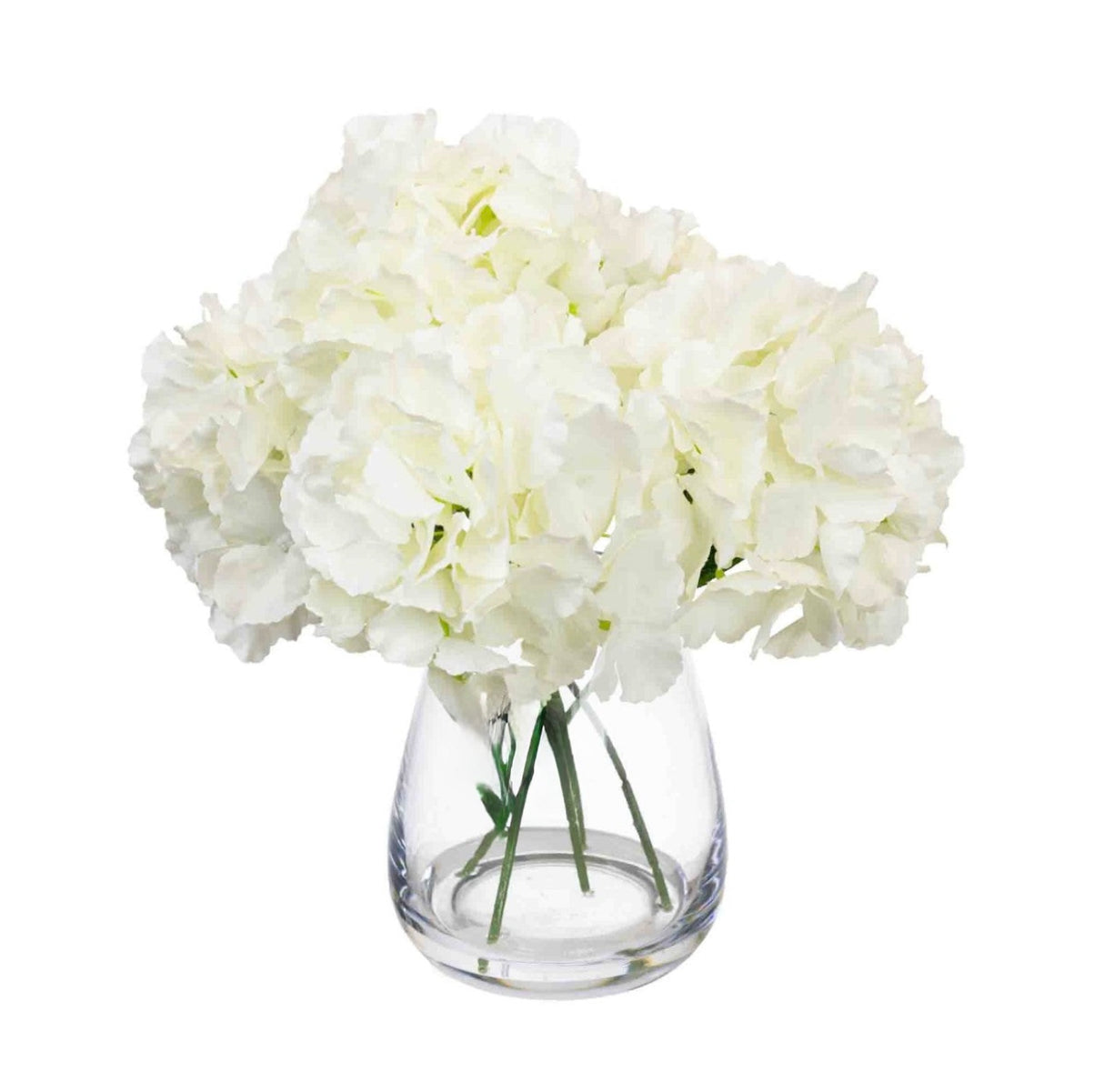 White Hydrangeas In Tall Glass Vase