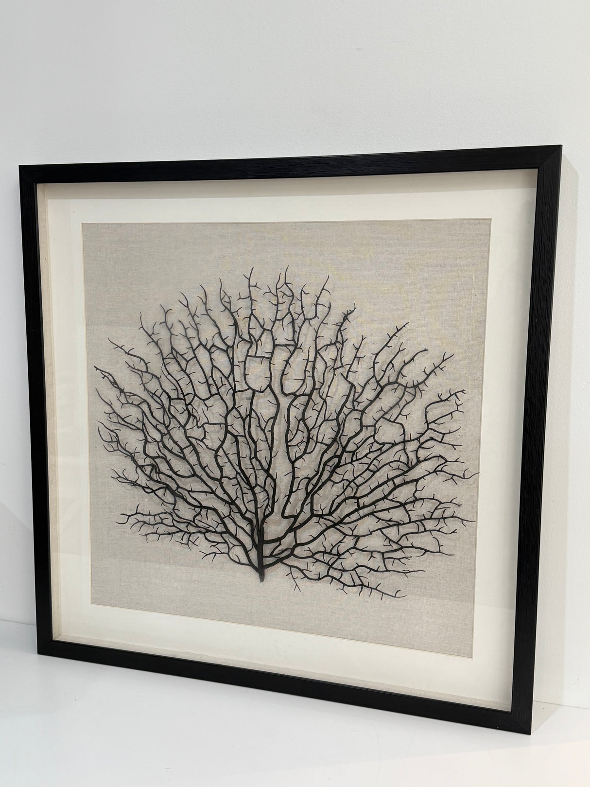 Ex-Display Black Framed Faux Sea Fan - PICKUP ONLY PERTH SHOWROOM