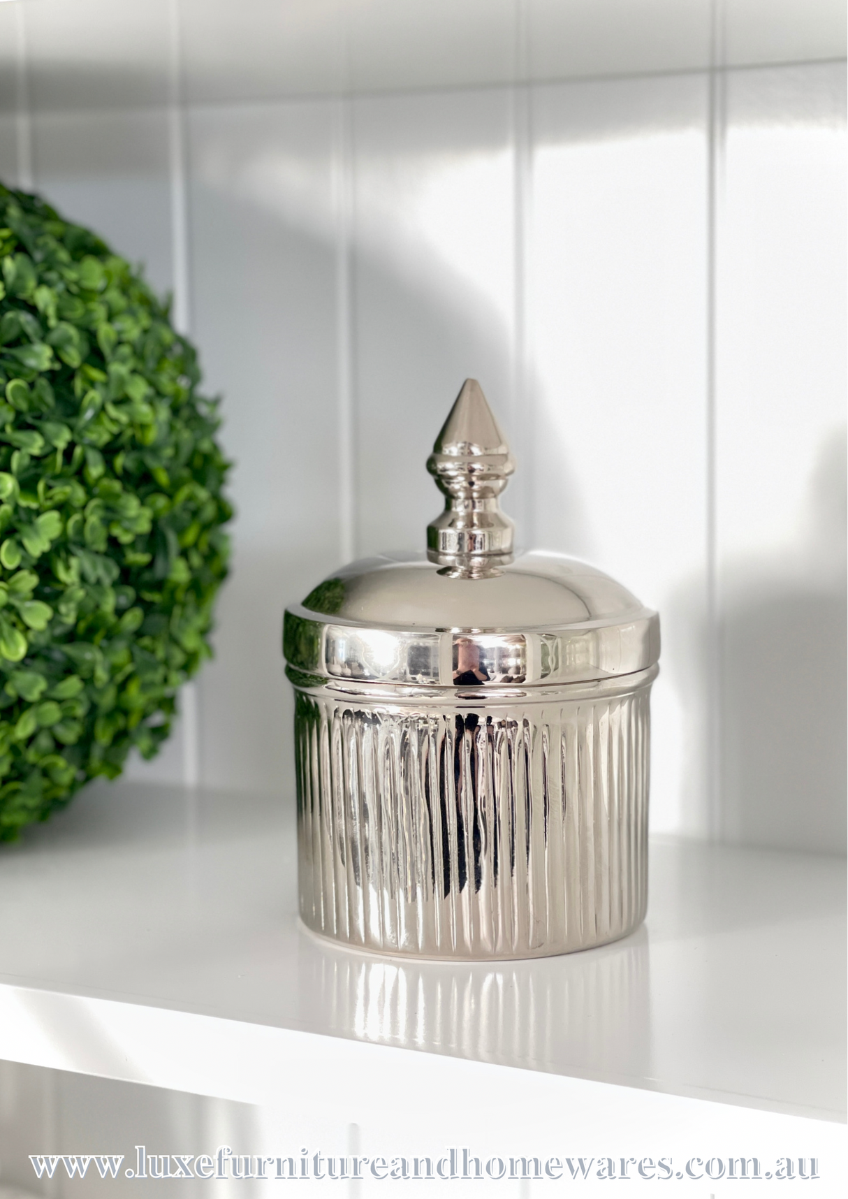 Small Silver Ribbed Canister
