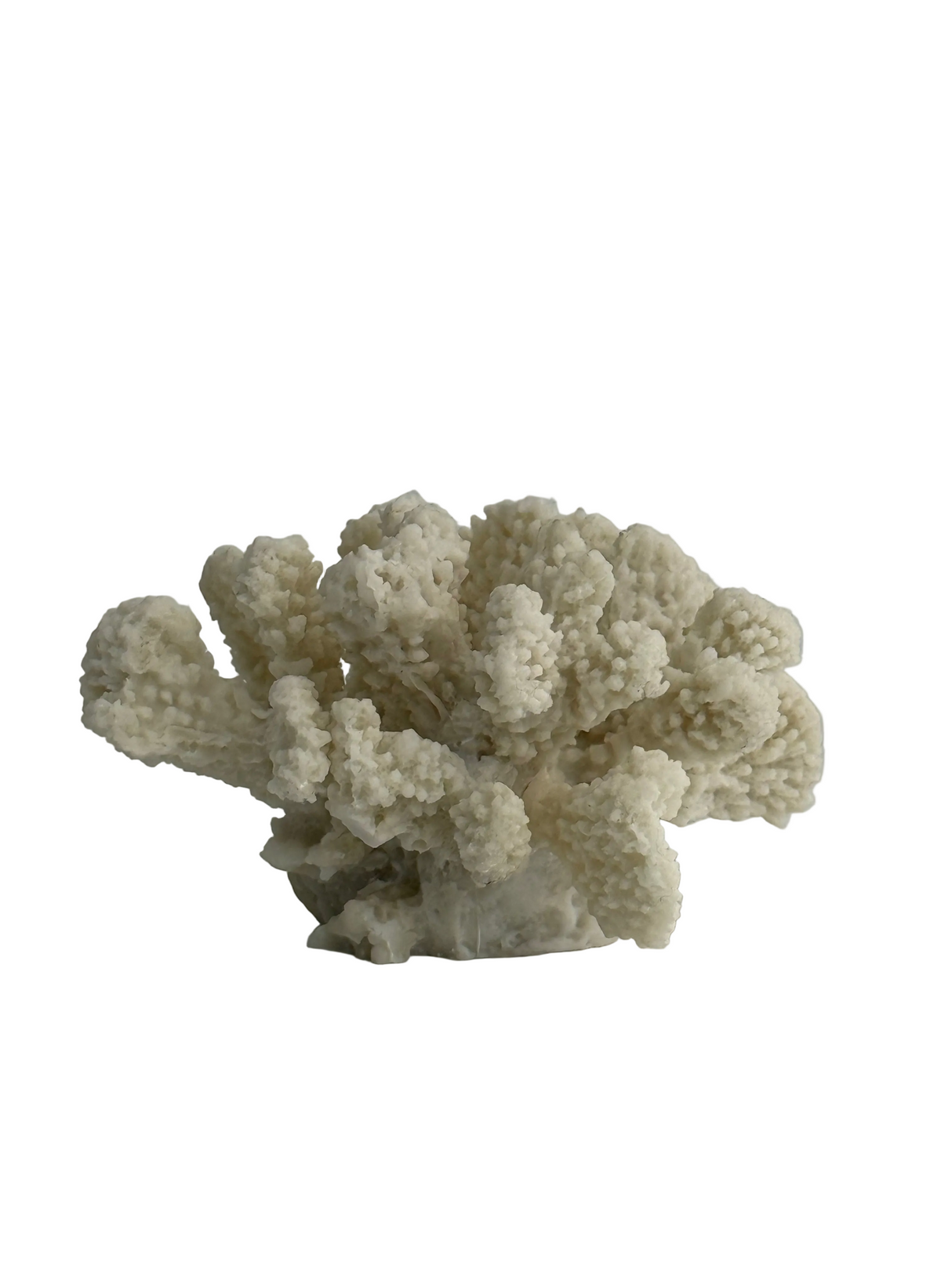 Ex-Display Faux Mini Cape Cod Coral In White