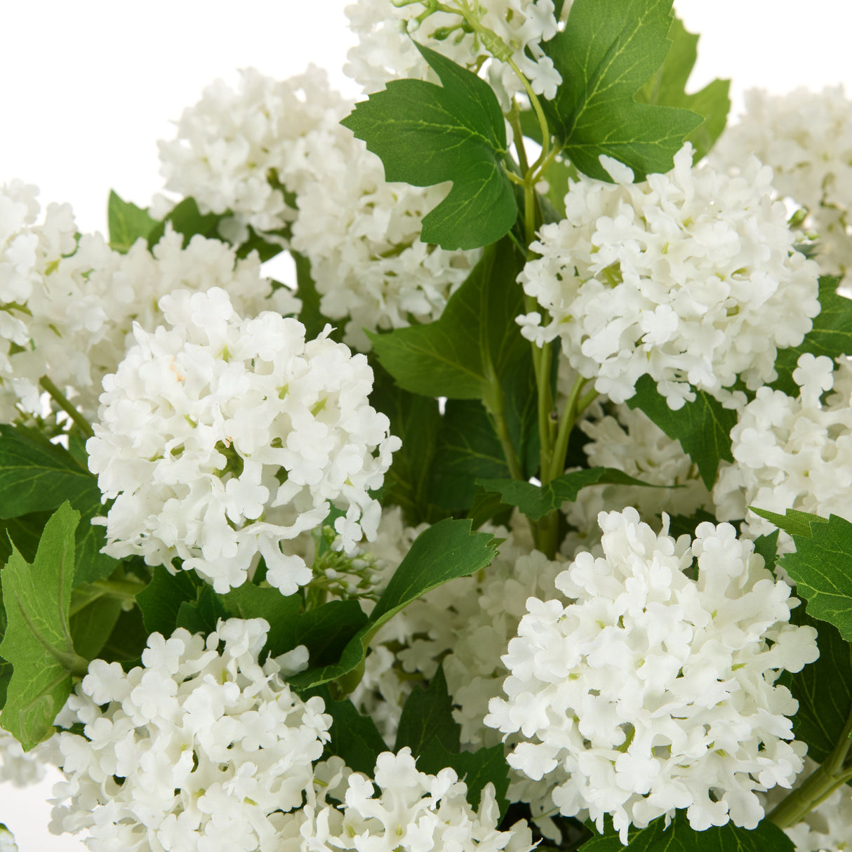 Large White Snowball Arrangement in Glass Vase
