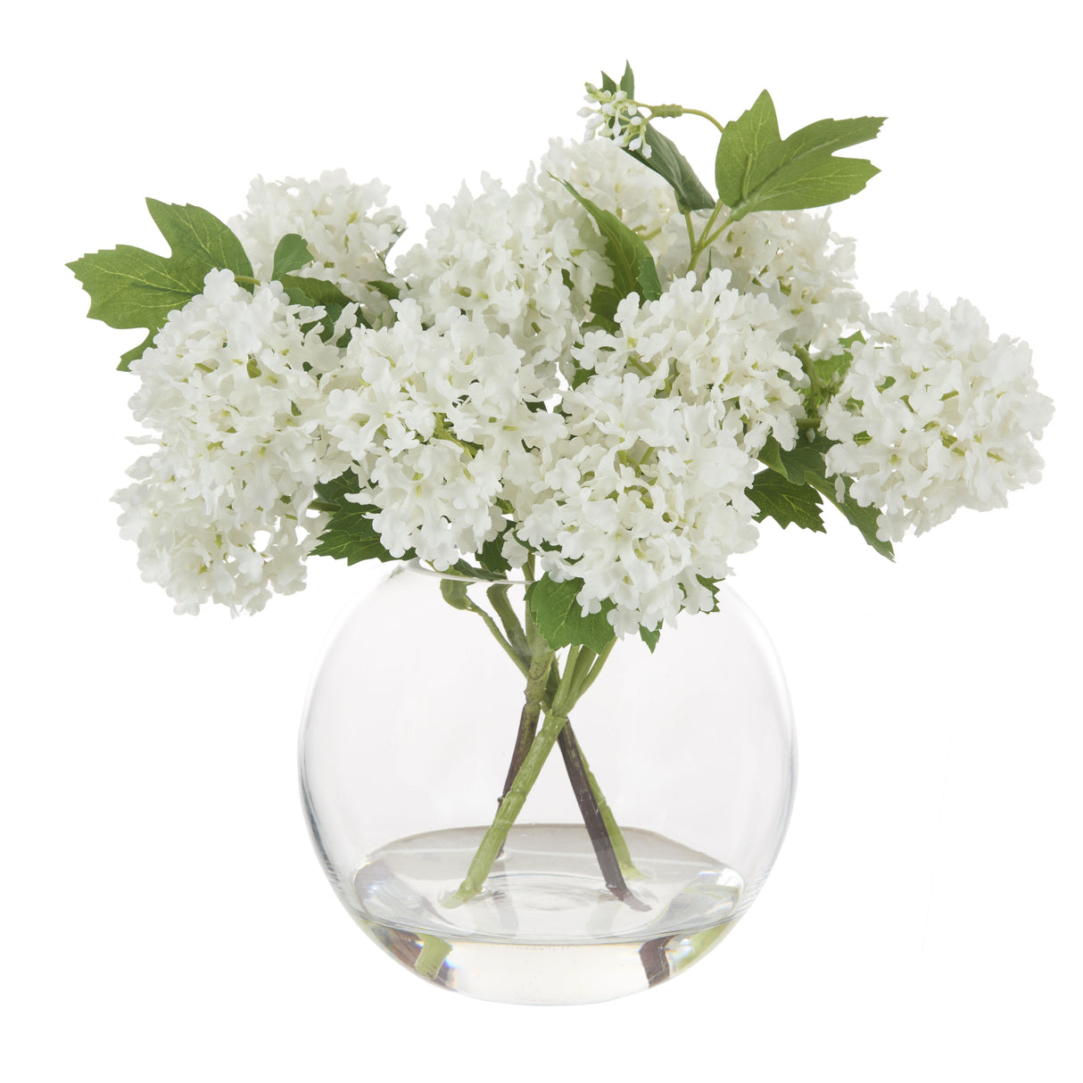 Medium White Snowball Arrangement in Glass Vase