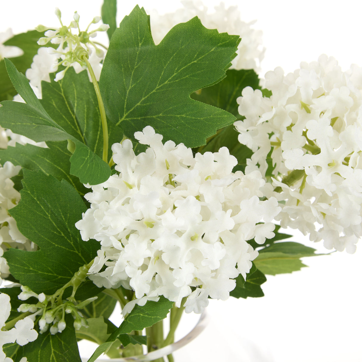 Medium White Snowball Arrangement in Glass Vase