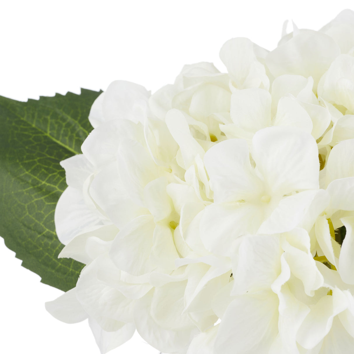 Medium White Hydrangea In Sphere Glass Vase