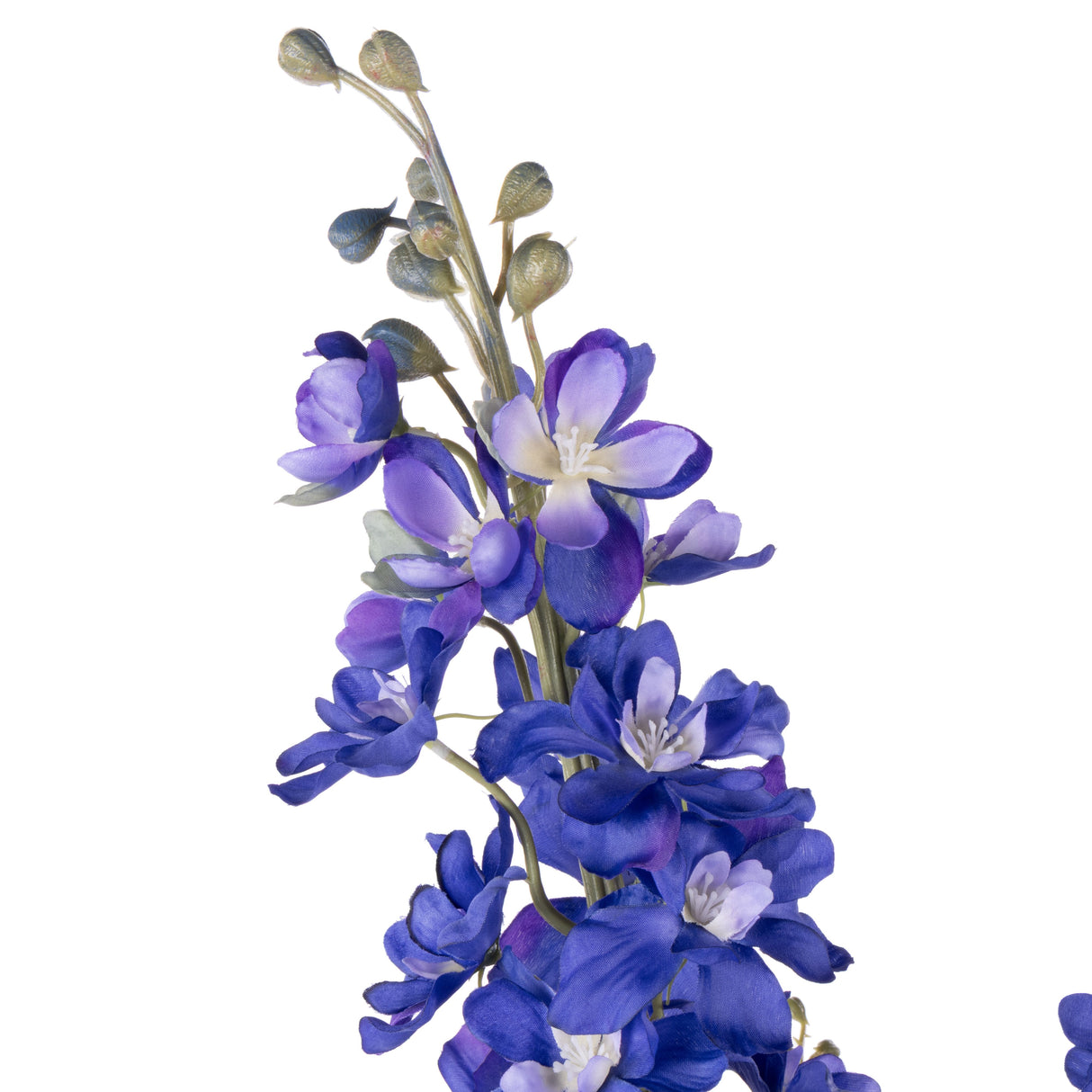 Tall Blue Delphinium & Hydrangea Arrangement In Glass Vase