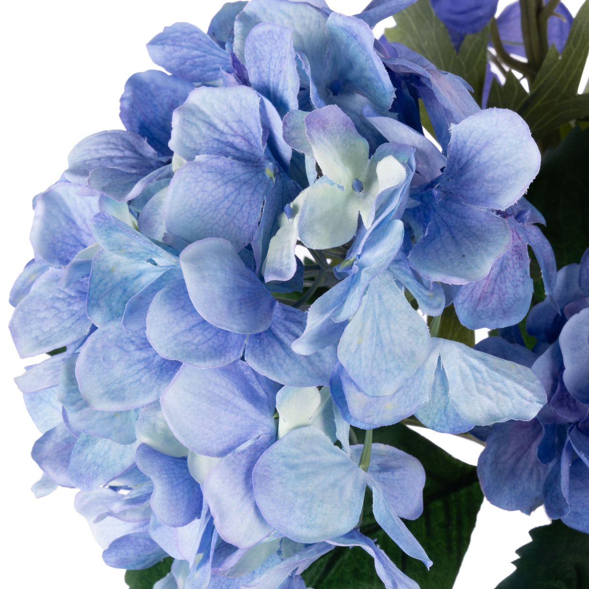 Tall Blue Delphinium & Hydrangea Arrangement In Glass Vase