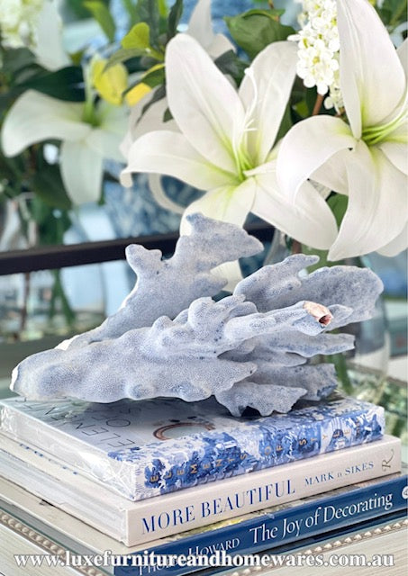 Large Specialty Blue Ridge Coral