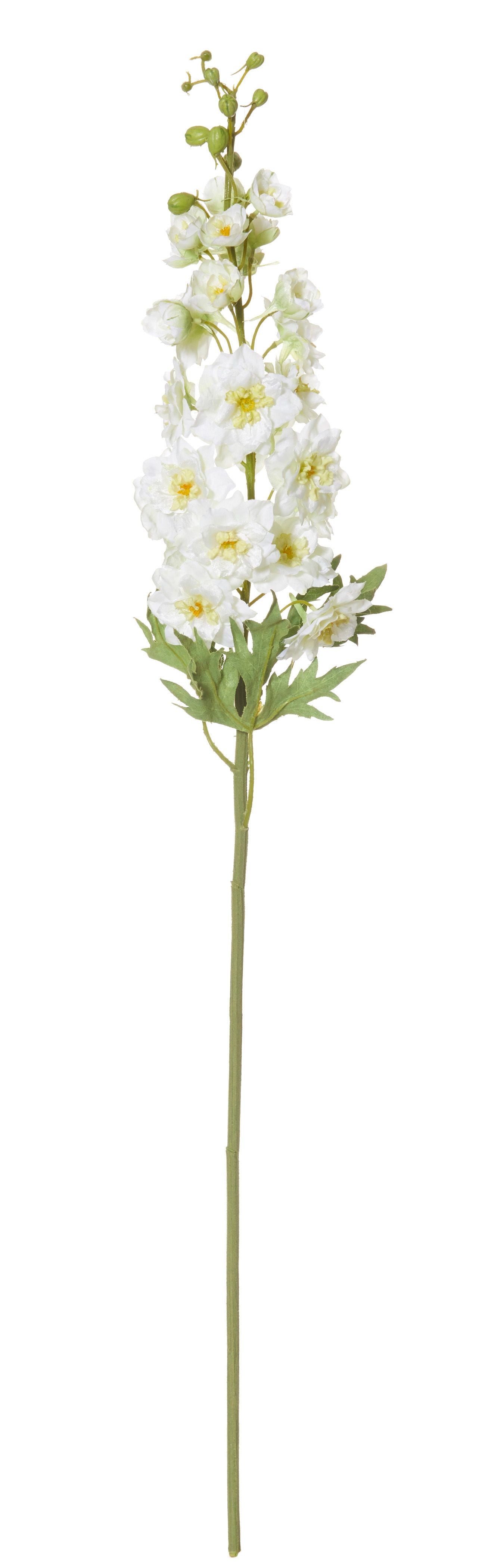 Set of Four Delphinium Stems With Light Green Foliage