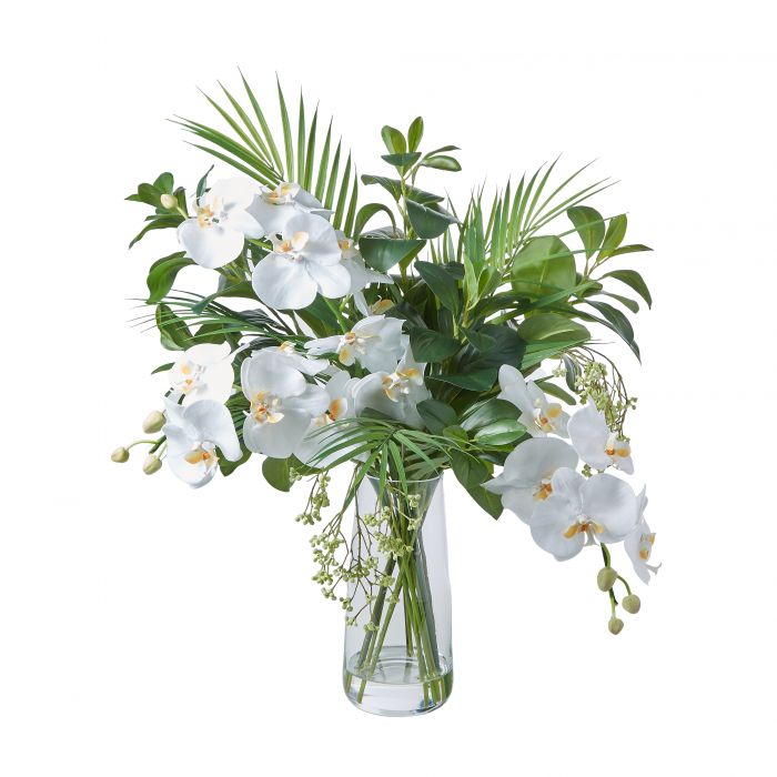 Large Tropical Phalaenopsis Orchid Arrangement