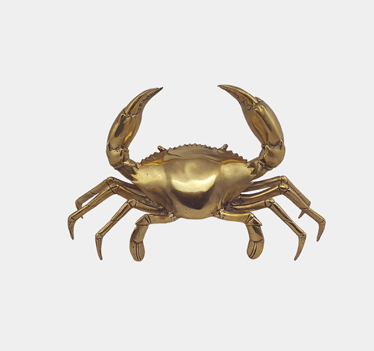 Large Gold Sea Crab