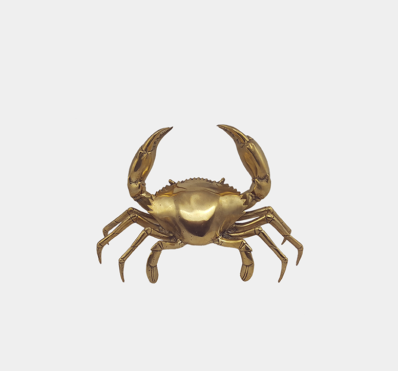 Small Gold Sea Crab