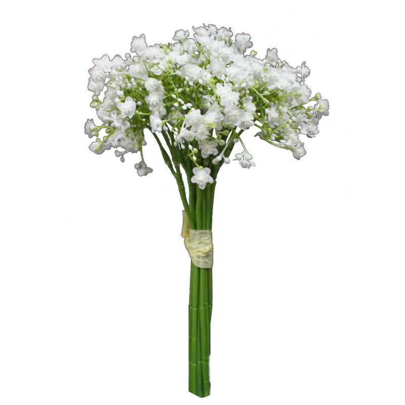 Bunch Of Baby's Breath Flowers In White