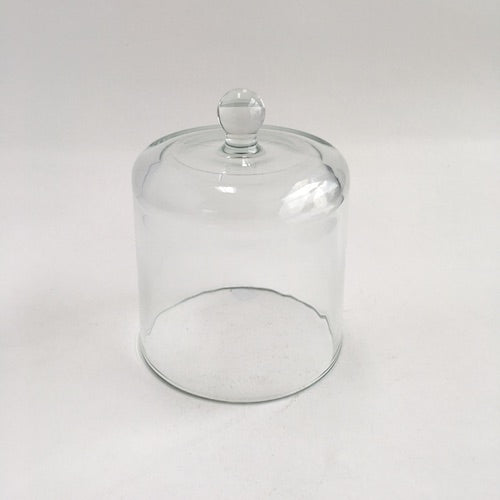Luxury Glass Cloche