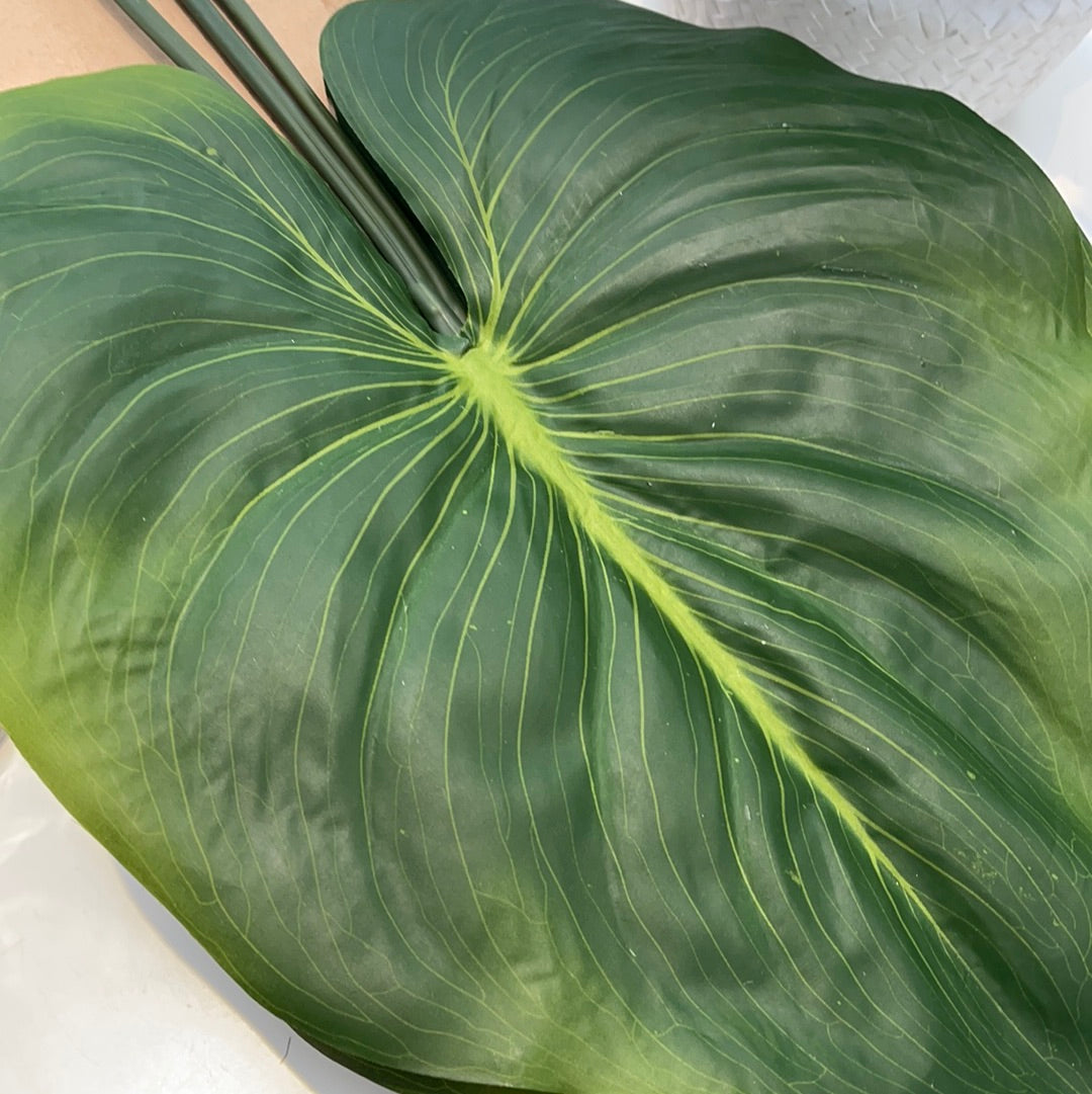Pair of Faux Canna Leaf Stems