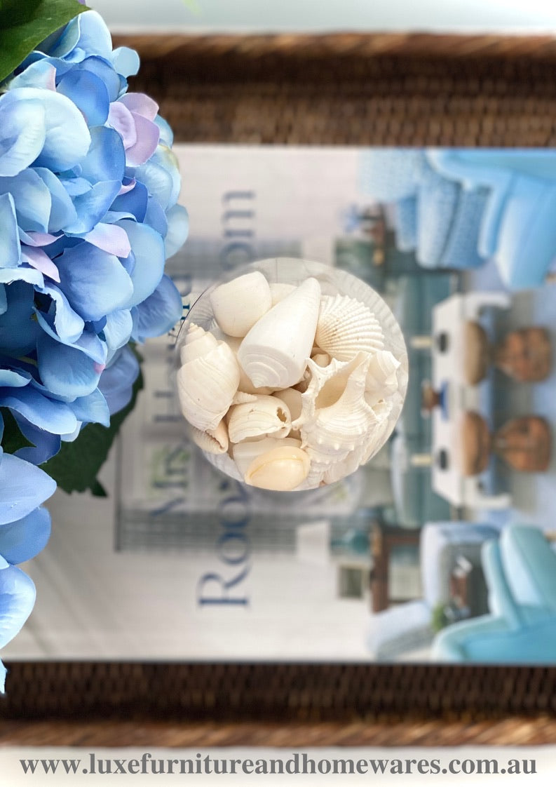 Mini Shell Cylinder In White