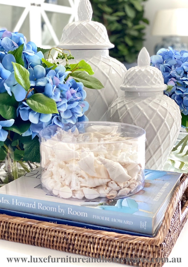 Coral & Shell Cylinder In White