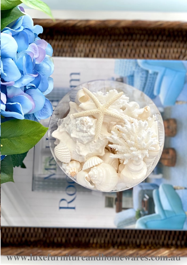 Coral & Shell Cylinder In White