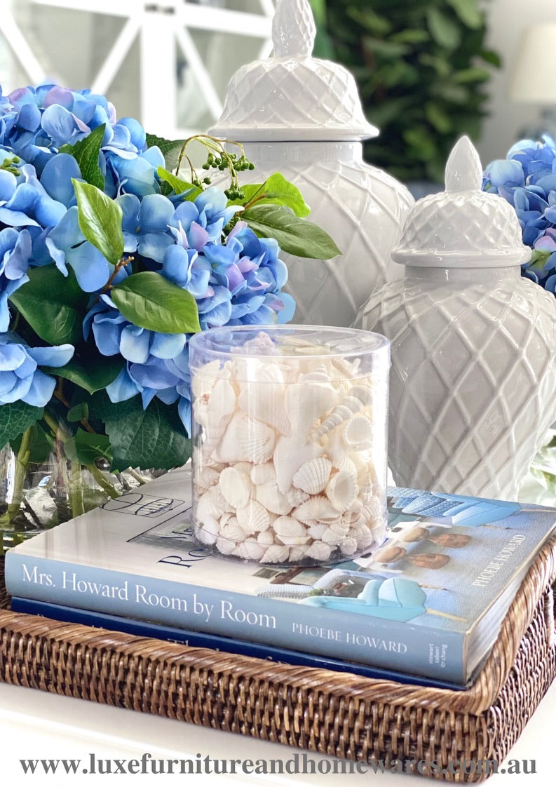 Coral & Shell Cylinder In White