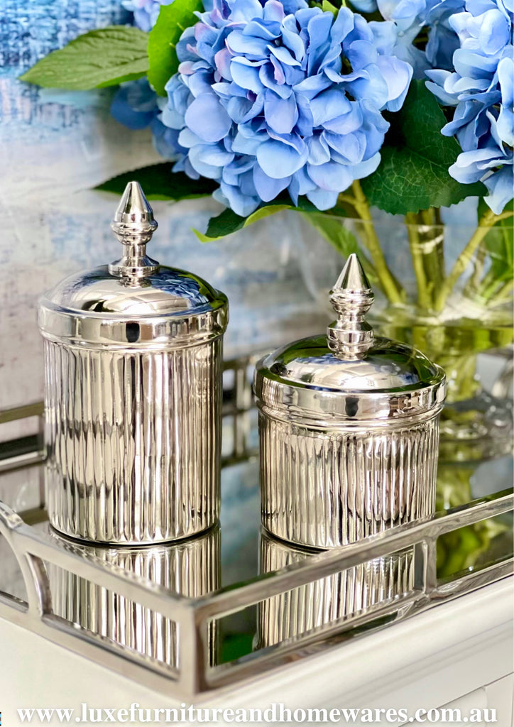 Silver Ribbed Canister - Small