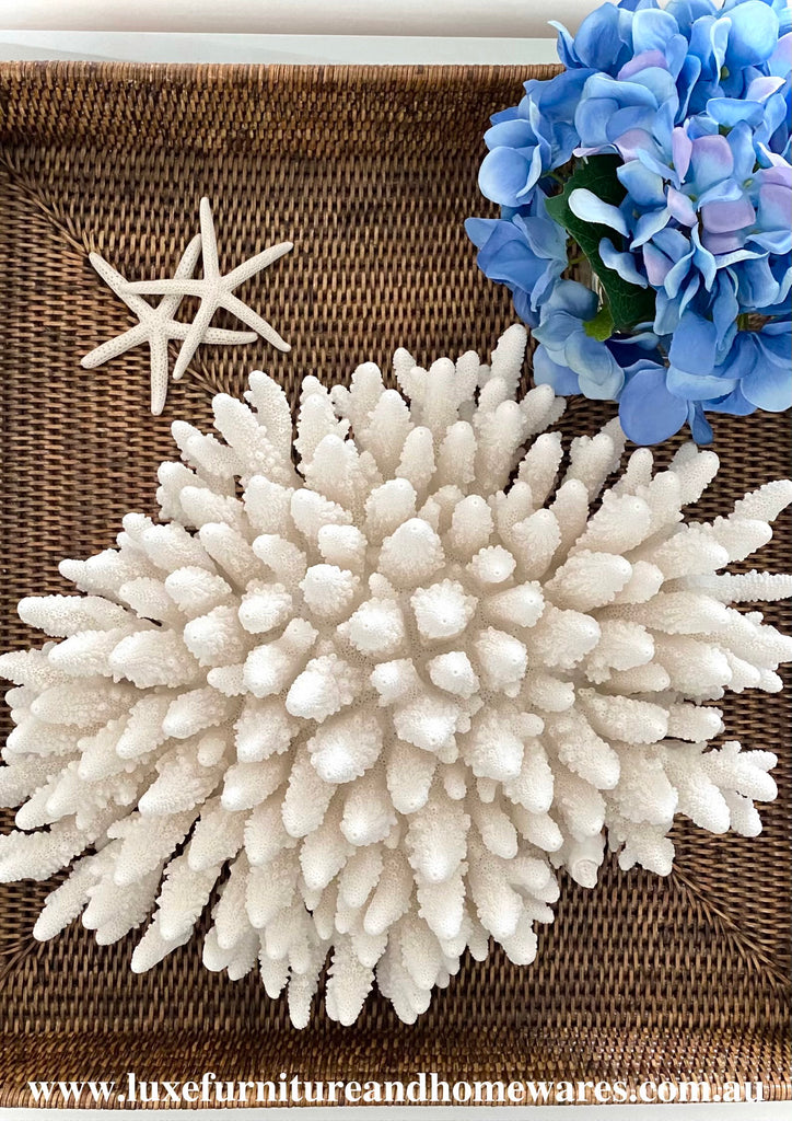 Extra Large Specialty Finger Coral #2