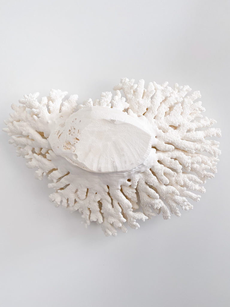 Extra Large Specialty Finger Coral #1