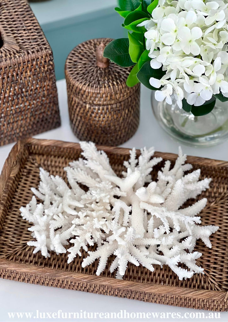 600g Mini White Coral Pieces