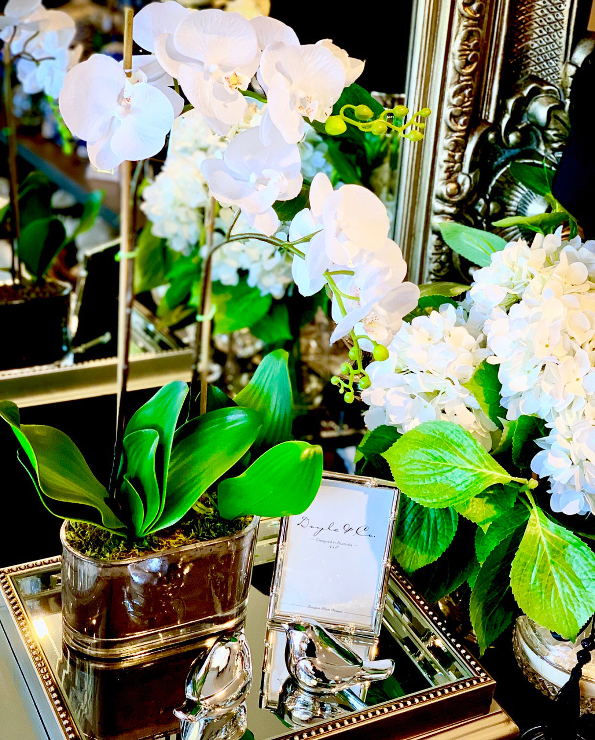 Small White Orchid Set In Long Vase