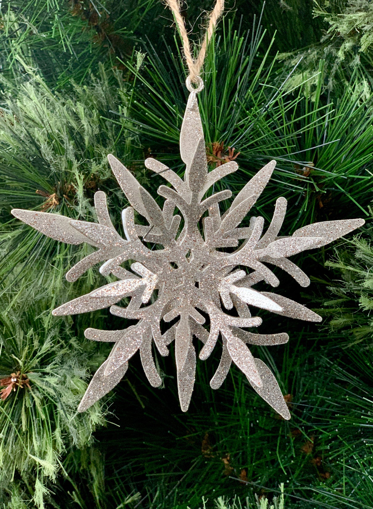 A silver frosted snowflake Christmas ornament hanging on a tree with green needles in the background.