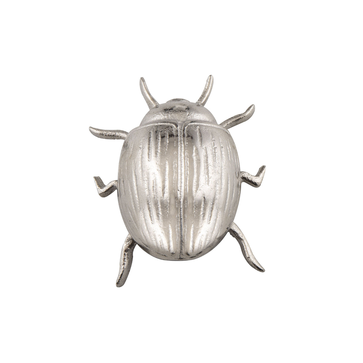 Rustic Silver Beetle