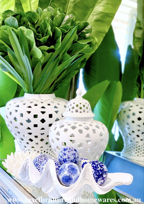 Corals & Shells