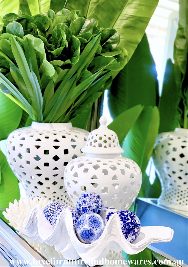 Corals & Shells