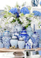 Blue & White Ceramics
