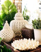Rattan