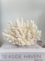 Upright Large Specialty Finger Coral