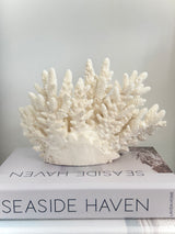 Upright Large Specialty Finger Coral