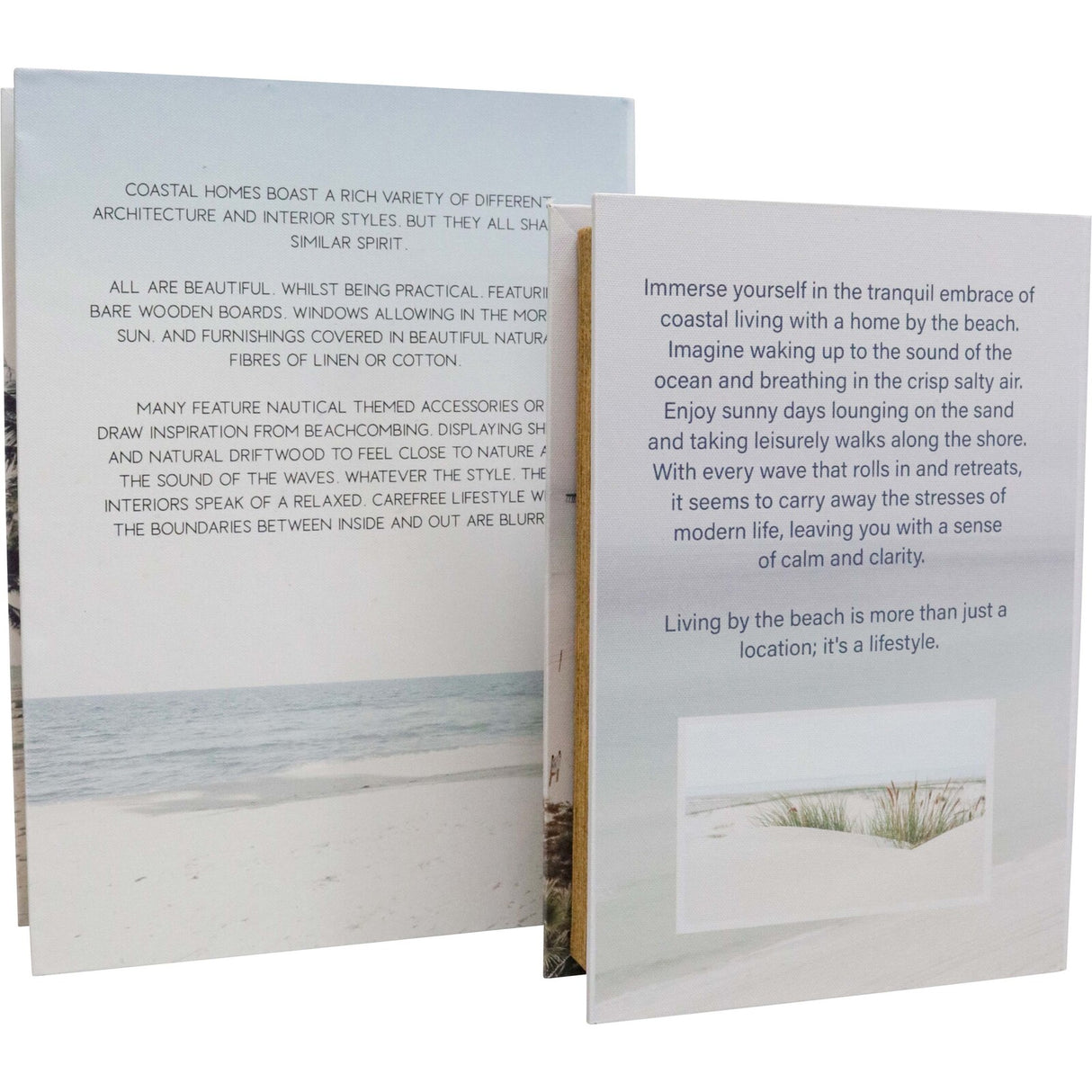 Set of 2 Large Book Boxes - Coastal Haven