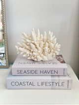 Upright Large Specialty Finger Coral