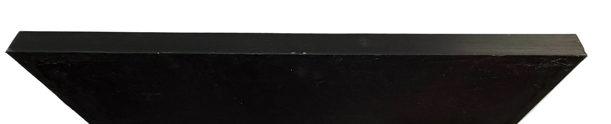 Ex-Display Black Framed Faux Sea Fan - PICKUP ONLY PERTH SHOWROOM