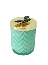 Cote Noire Tiffany Blue Butterfly Candle With Scarf & Brooch
