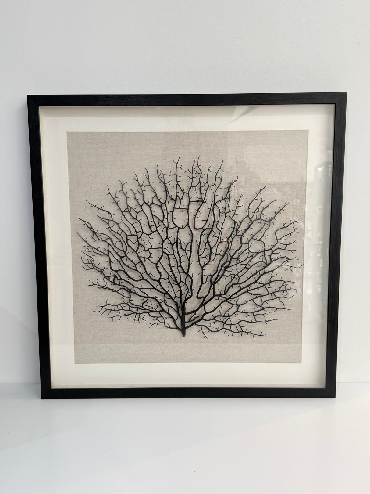 Ex-Display Black Framed Faux Sea Fan - PICKUP ONLY PERTH SHOWROOM