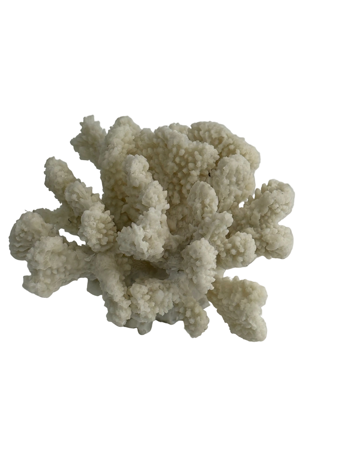 Ex-Display Faux Mini Cape Cod Coral In White
