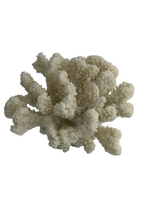 Ex-Display Faux Mini Cape Cod Coral In White