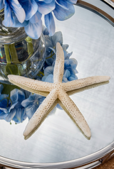 Decorative Starfish